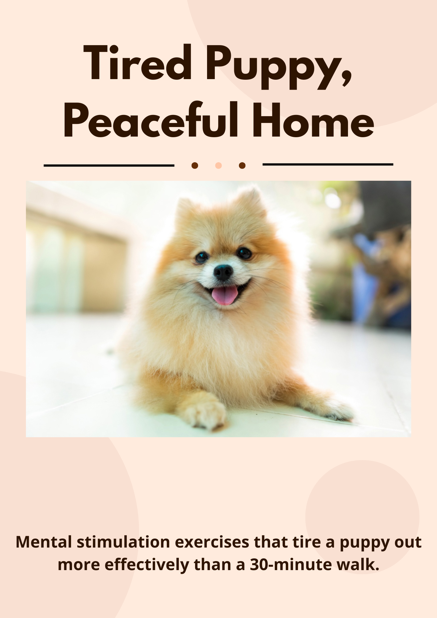 Tired Puppy, Peaceful Home